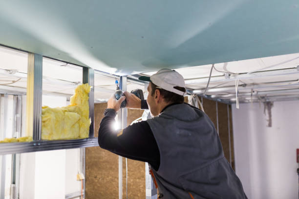 Best Energy Efficiency Insulation in Wacousta, MI