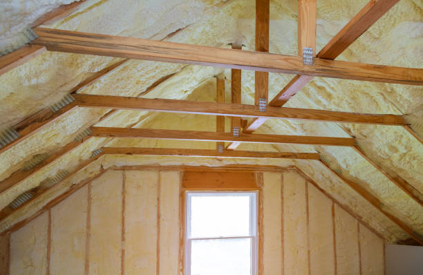 Best Cellulose Insulation in Wacousta, MI