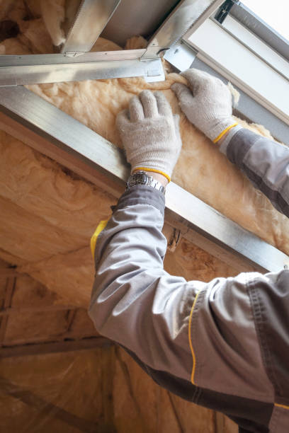 Best Residential Insulation in Wacousta, MI