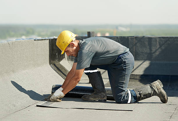 Best Insulation Maintenance and Repair in Wacousta, MI