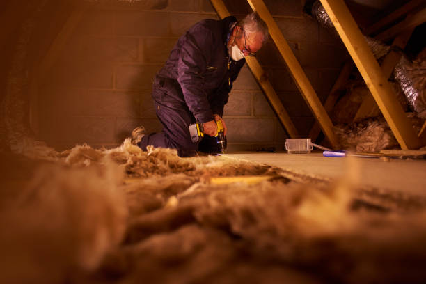 Best Fiberglass Insulation in Wacousta, MI